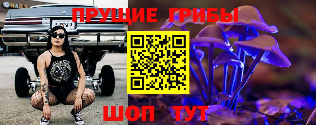 Вышний Волочёк  Псилоцибиновые грибы Magic Shrooms  Вход с VPN 